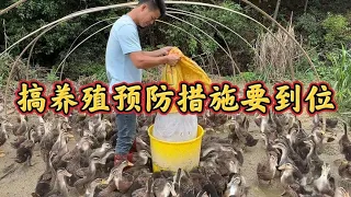 In order to reduce the loss of this duck preventive measures must be put in place  after all  are w