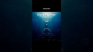 Black Panther: Wakanda Forever | Telokan City BGM