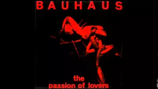 BAUHAUS ~ The Passion of Lovers