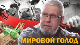 МИРОВОЙ ГОЛОД И БОРЬБА ЗА ПРОДОВОЛЬСТВИЕ. СЕРГЕЙ ПЕРЕСЛЕГИН