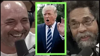 Dr. Cornel West Says Donald Trump is a Gangster | Joe Rogan