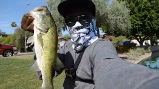 That Fish Ate It At My Feet!! - Urban Big Swimbait Bass!