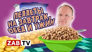 Агрессивный маркетинг от забайкальского депутата и предпринимателя Леонида Кузьмицкого
