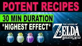 Cooking Elixir & Food Recipes - HIGH LEVEL 30 Minute Durations - Zelda: Breath of the Wild