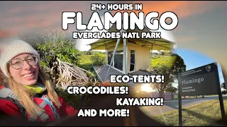 Exploring FLAMINGO | Everglades National Park | Florida | Hiking, kayaking, boat ride