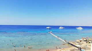 រីស៊ត Reef Oasis នៅក្នុងប្រទេសអេហ្សុិប [Reef Oasis Beach Resort] Part 1 #Sharmelsheikh #egypt