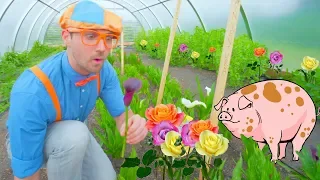 Blippi Farm Tour | Farm Animals and Vegetables for Kids