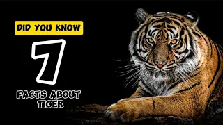 7 Facts about Tiger | @DIDYOUKNOW022