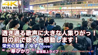 【目の前で聴くと感動します！】透き通る歌声に大きな人集りがっ！　栄光の架橋 / ゆず（cover）  " 一華ひかり "  2021.11.3 新宿路上ライブ 【4K】