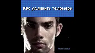 Как удлинить Теломеры.