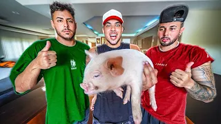 REAÇÃO DOS MEUS AMIGOS AO VER O MEU MINI PORCO!!🐷😂 *e agora?*