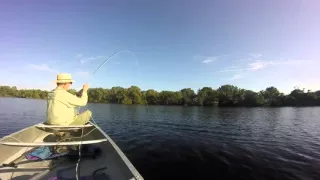 Fly fishing for tarpon