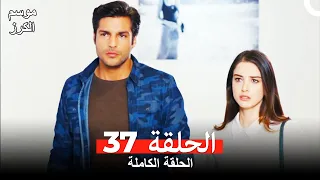 موسم الكرز الحلقة 37 دوبلاج عربي