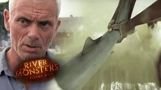 8-Year-Old Attacked By Bull Shark In Florida | HORROR STORY | River Monsters