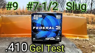 .410 Ballistic Gel Test Birdshot #9 #7-1/2 & Slug