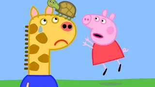 Peppa Pig Official Channel 🐢 Finding Tiddles the Tortoise with Peppa Pig