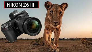 Nikon Z6 III VS Nikon Z8 Camera test Comparison