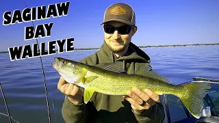 TROLLING for SAGINAW BAY WALLEYE! Spring Walleye Fishing on Saginaw Bay! Fish Camp 2023