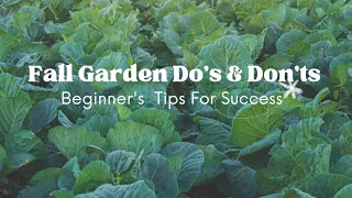 Fall Garden Do's And Don'ts | Beginner's Tips And Advice