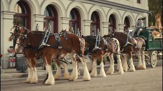 Samuel Adams | Your Cousin From Boston, Horses - 2021 Super Bowl Commercial