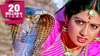 साँपों ने बचाई श्रीदेवी की जान | नगीना | Sridevi, Rishi Kapoor | Bollywood Movie Best Scene| Nagina