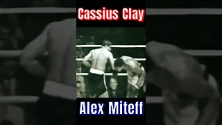 Fresher than Opponent /Muhammad Ali vs Alex Miteff
