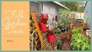 Liz's Small Space Urban Florida Container Garden,  Zone 9b Garden Weekly Update May 16 Garden Tour