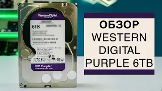 Обзор Western Digital Purple 6TB. Надёжный и недорогой HDD для видео?