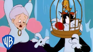 Looney Tunes | Sylvester Saves Granny | WB Kids