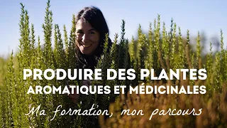 Produire des plantes aromatiques et médicinales : ma formation