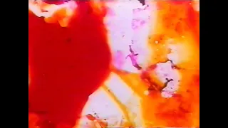 Stan Brakhage - Love Songs