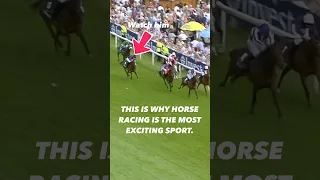 Jockey Mickael Barzalona rode the Derby like he stole it! 🤯 #horse #horseracing #animalshorts