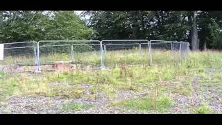 NORTH WALES  HOSPITAL,DENBIGH,( ASYLUM ) WALKING THE GROUNDS,28 AUG 2012.