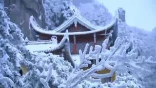 Traditional Chinese Guqin Music by Guqin Artist WuNa飞升巫娜一花一世界