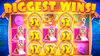 MY BIGGEST WINS on DOG HOUSE Slots!!