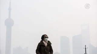 Шанхай погрузился в густой смог (новости)