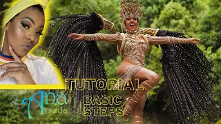 Brazilian Samba Dance - BASIC STEPS Tutorial by Ana Arruda