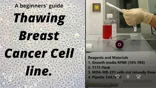 Thawing Breast Cancer cell line; A beginners guide step by step.