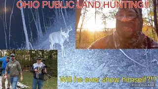 OHIO PUBLIC LAND WHITETAIL BOW HUNT…..He stepped out for me!