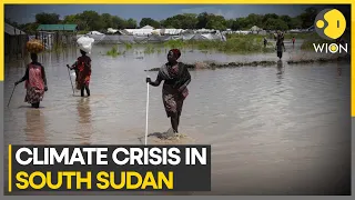 Extreme climate wreaks South Sudan, extreme weather drives hunger in Sudan | WION Climate Tracker