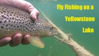 Fly Fishing A Yellowstone Lake (with Streamers)