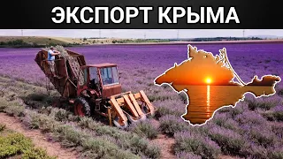 Крымский экспорт.  Документальный фильм (2020)