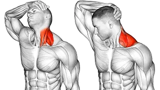 The Best Stretching Exercises for Your Neck