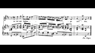 Blute nur, du liebes herz! (J. S. Bach - Matthäus-Passion) Score Animation