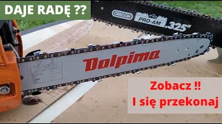 Prowadnica i łańcuch DOLPIMA + Lider / Handy RG 4114 vs dwa sosnowe wywroty w lesie !!