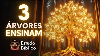 Três árvores que nos ensinam nas escrituras - Estudo Bíblico - Oliveira - Videira - Figueira