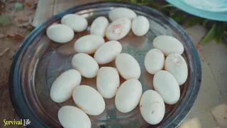 Amazing Video 2021 - Found A lot Crocodile Egg in Stomach n Cooking Eating Delicious