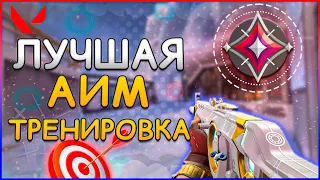 ЛУЧШАЯ ТРЕНИРОВКА АИМА В VALORANT | ПОЛНЫЙ АИМ ГАЙД | Valorant