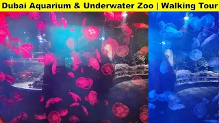 DUBAI AQUARIUM & UNDERWATER ZOO WALKING TOUR | DUBAI WALKING TOUR