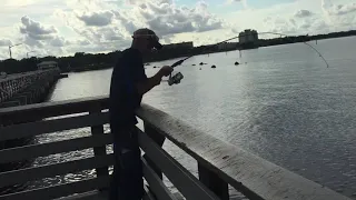 Fishing at Ballast point pier.